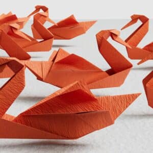 Photo 3D Dental Scan