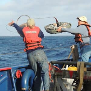 Photo Comforting environment