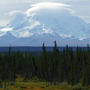 Photo Cost vs Benefits