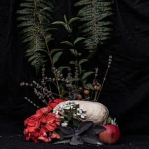 Photo Cost comparison