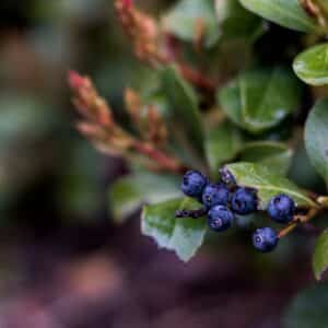 Photo Before & After