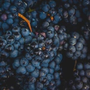 Photo Red wine