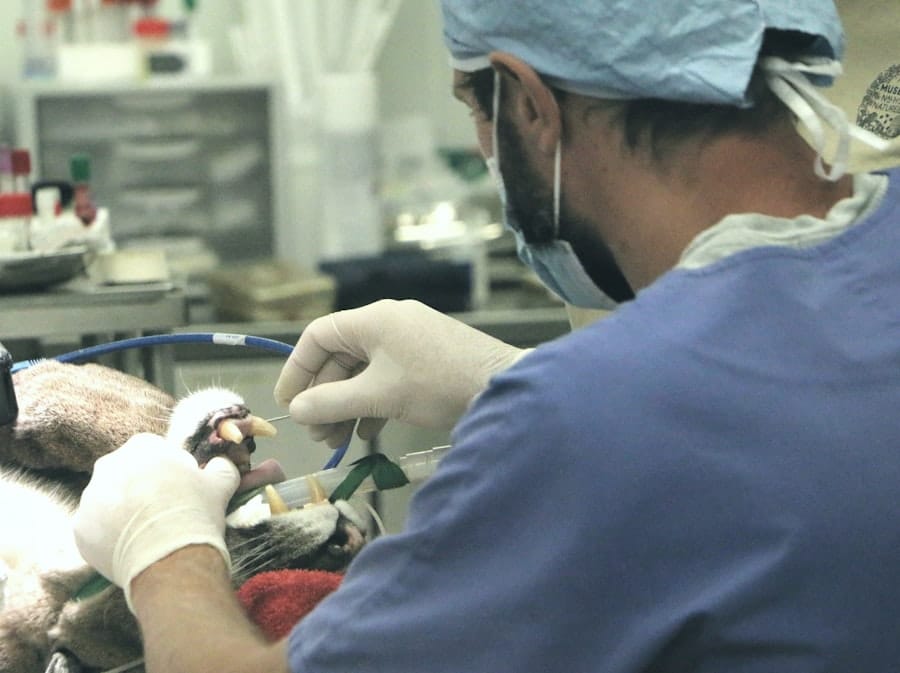 Implant Clinic